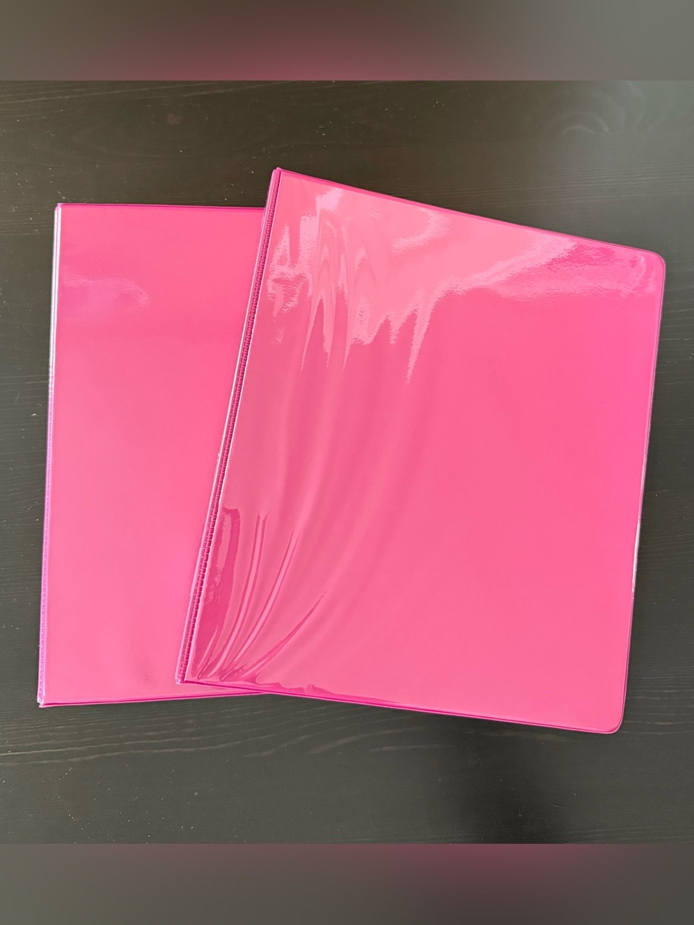 Set of 2, Fuchsia Clear View Binders